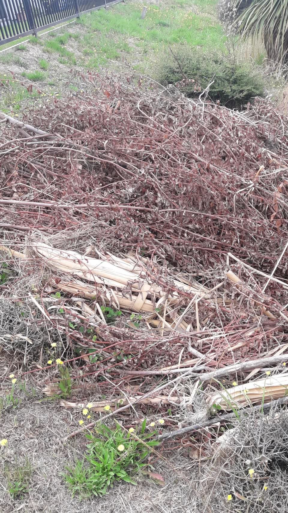 The photograph attached to this parks report