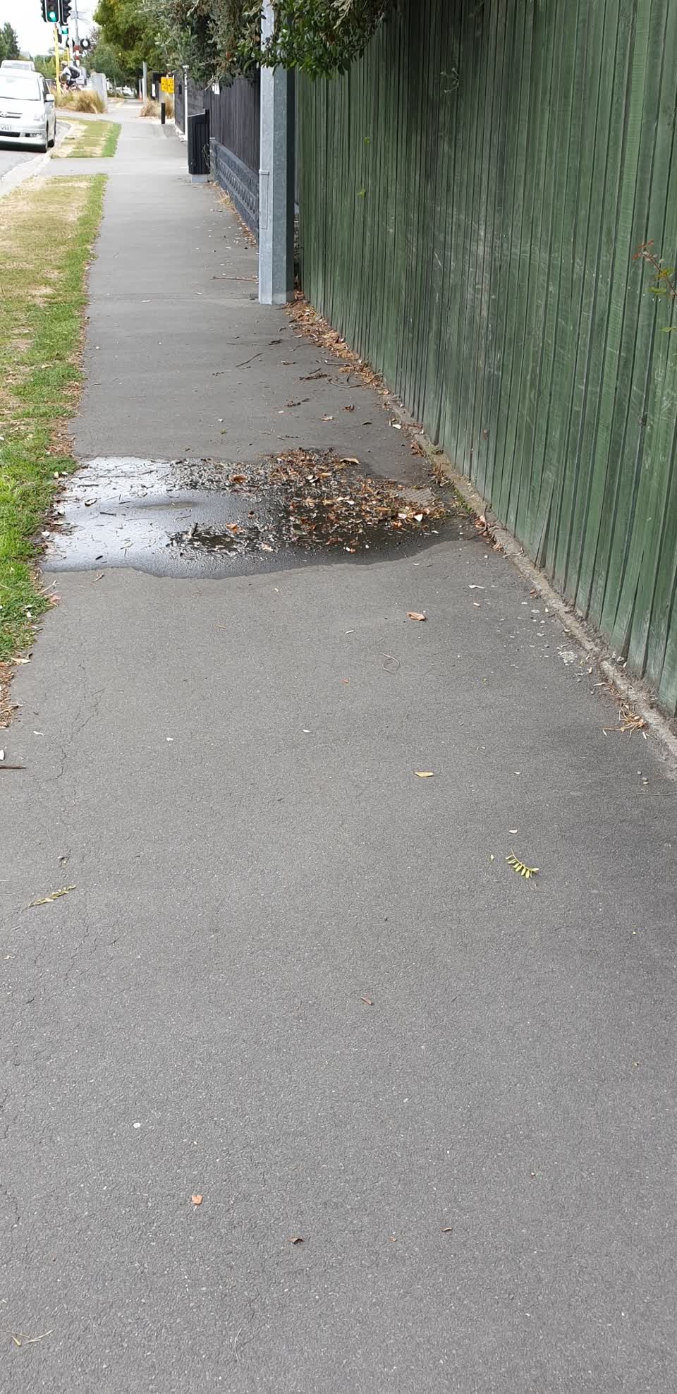 The photograph attached to this water supply report