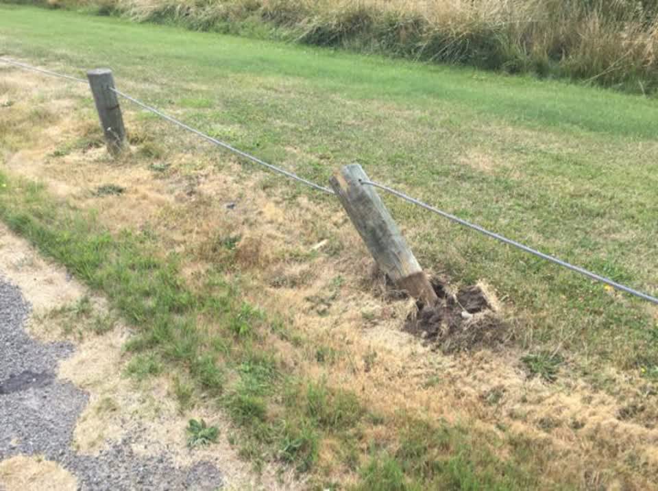 The photograph attached to this parks report