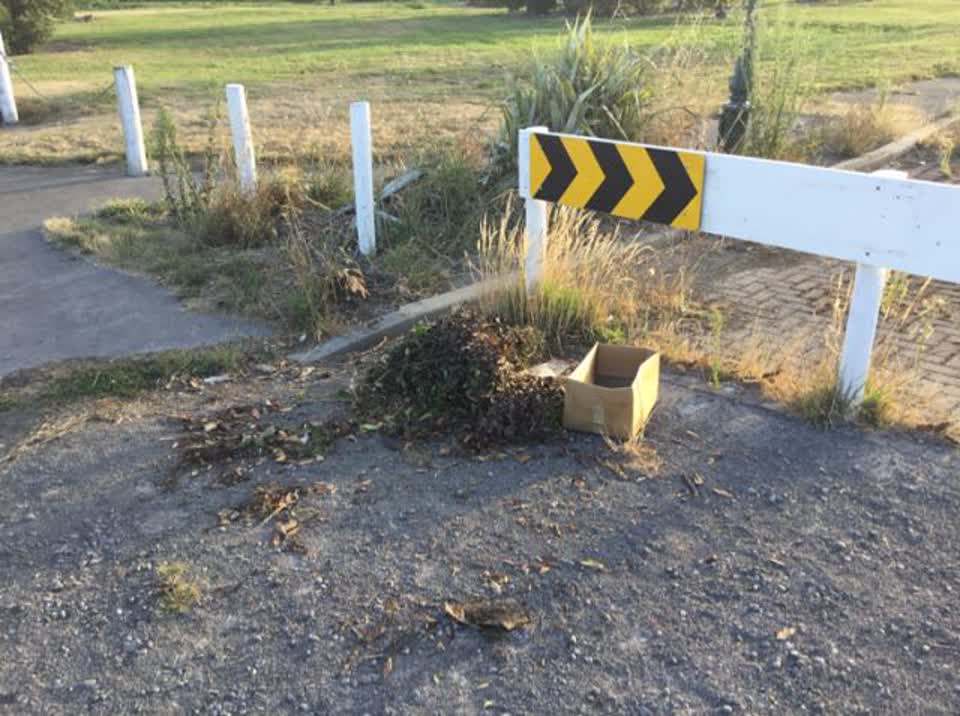 The photograph attached to this rubbish/recycling report