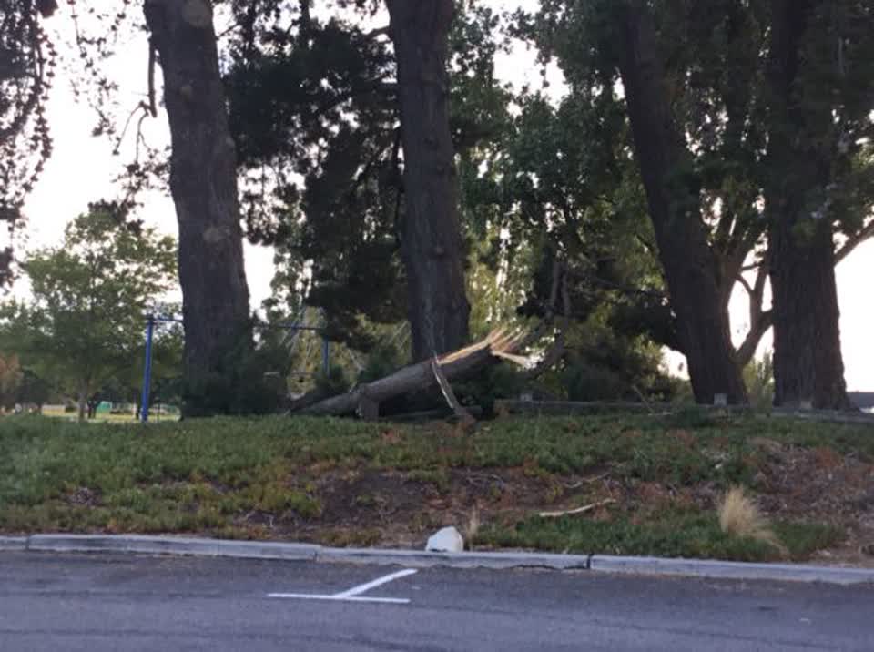 The photograph attached to this parks report