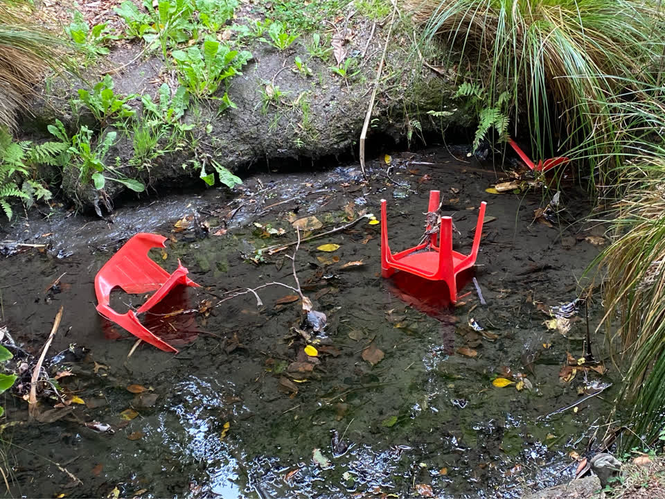 The photograph attached to this parks report