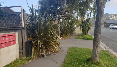 Roading/Streets, a report photo