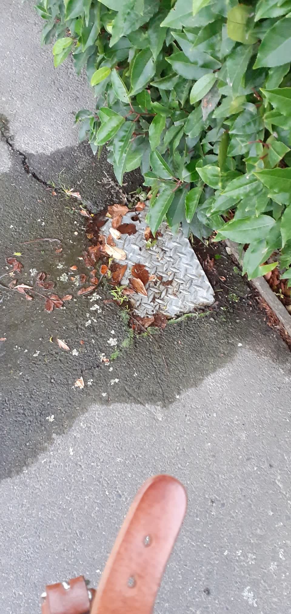 The photograph attached to this water supply report