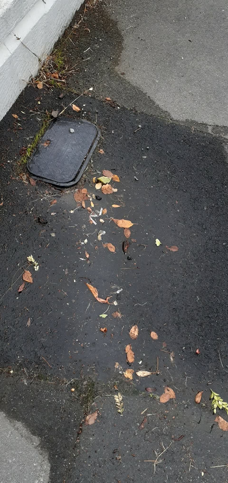The photograph attached to this water supply report