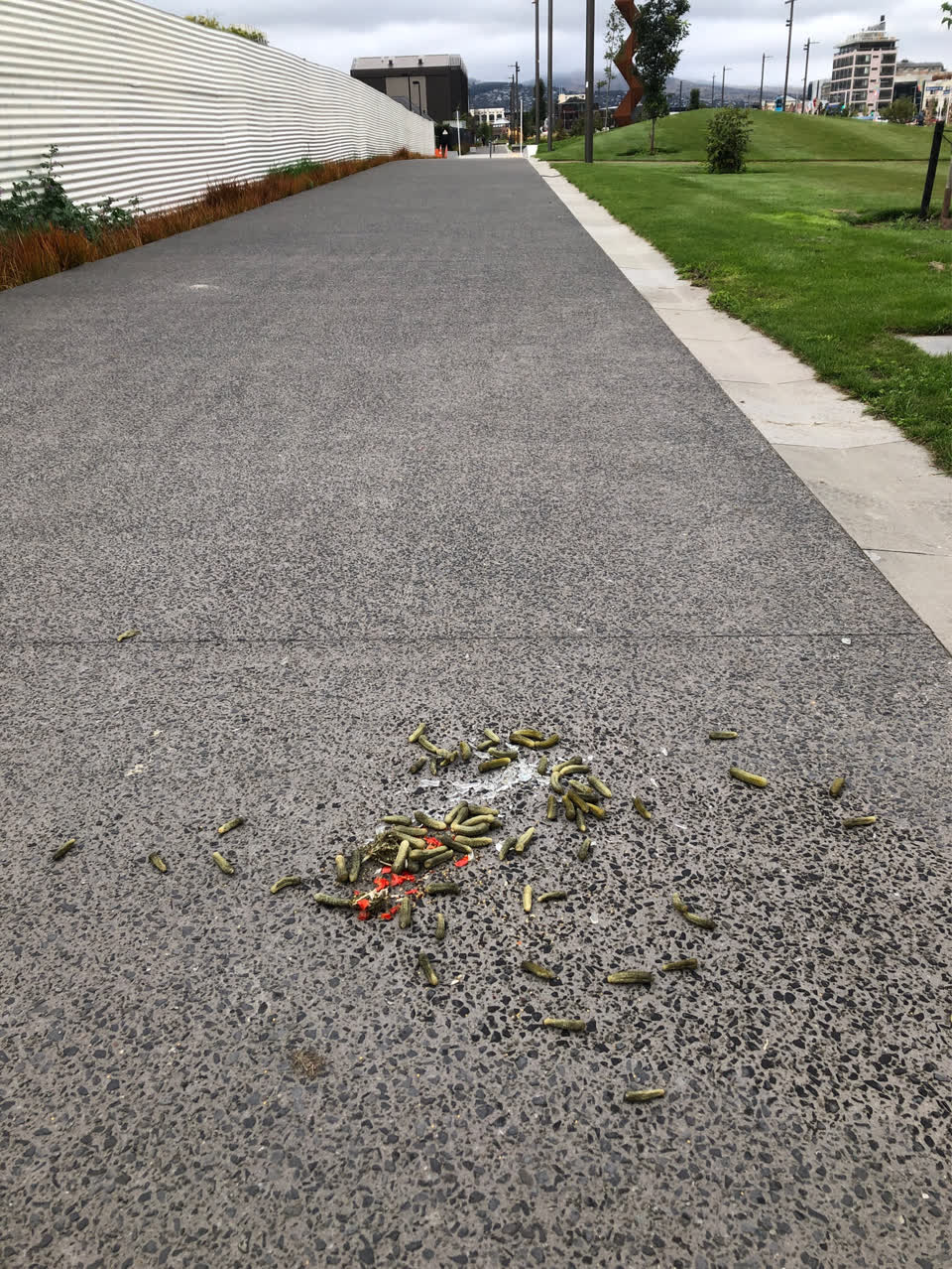The photograph attached to this roading/streets report