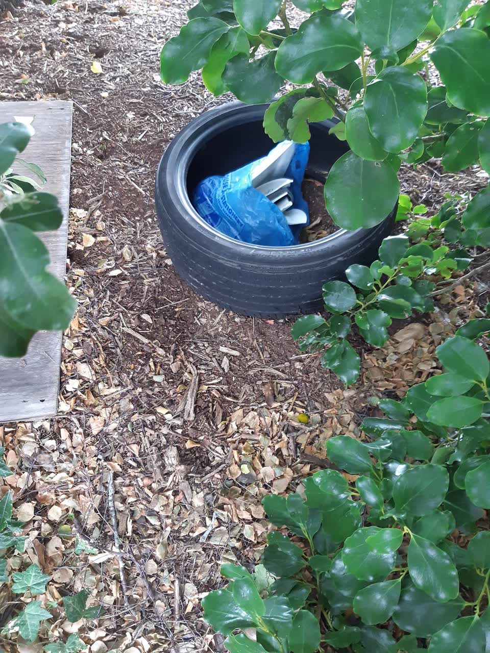 The photograph attached to this parks report