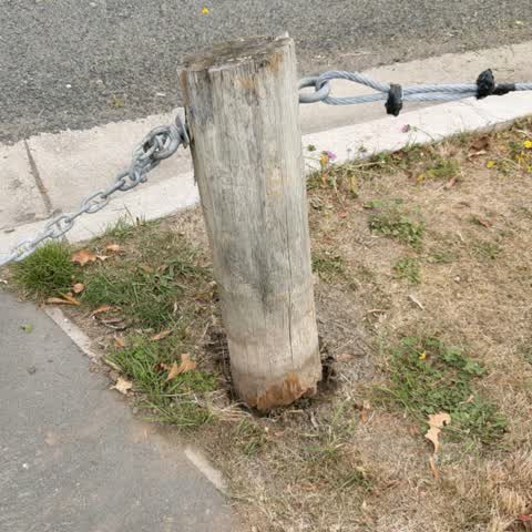 Parks, a report photo