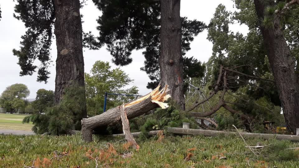 The photograph attached to this parks report