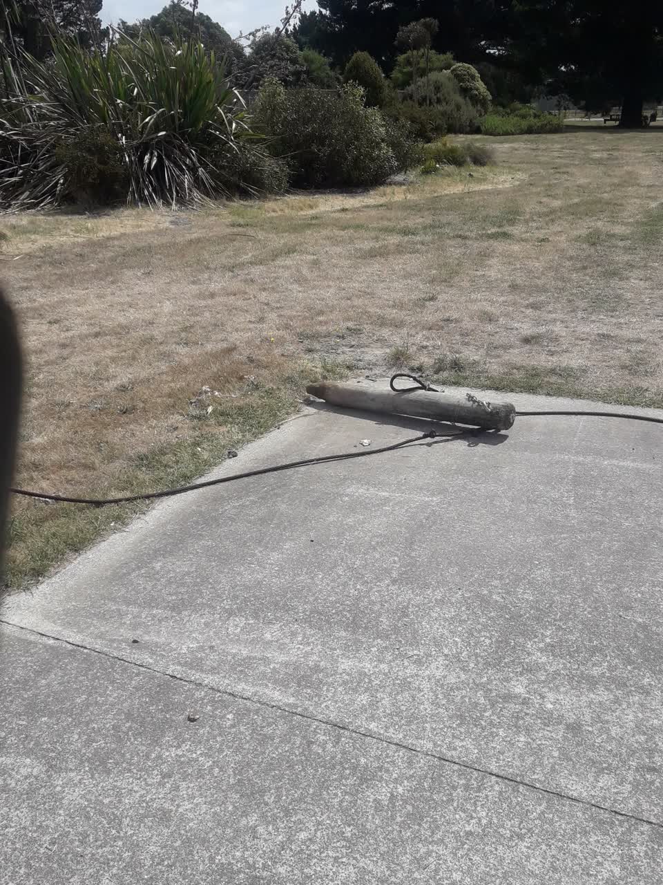 The photograph attached to this parks report