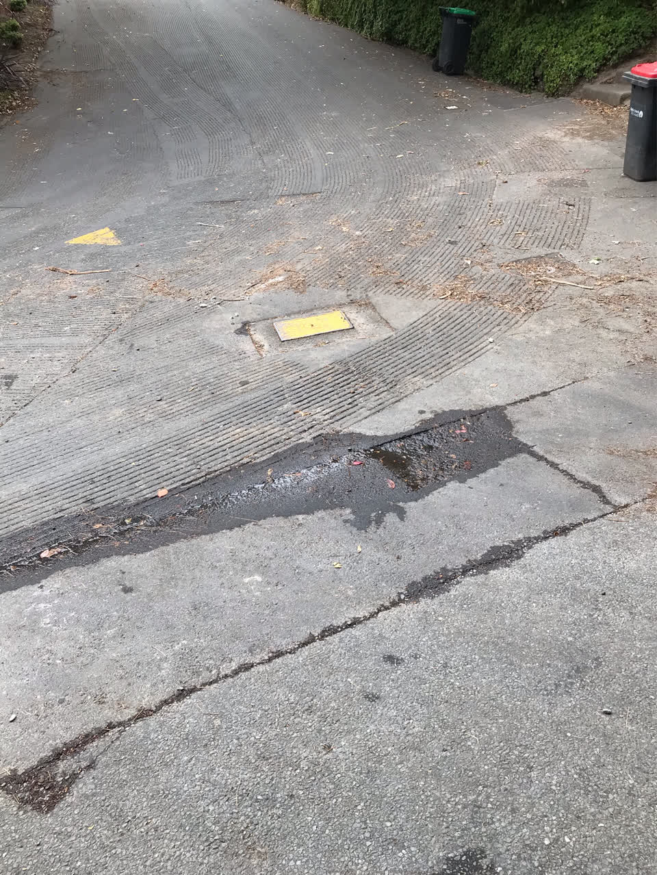 The photograph attached to this water supply report