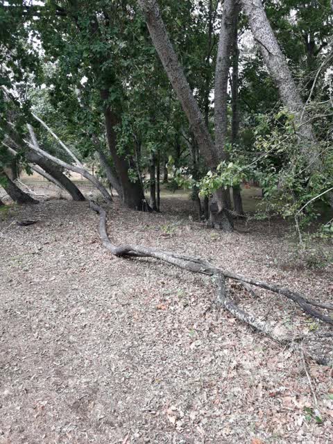 Parks, a report photo