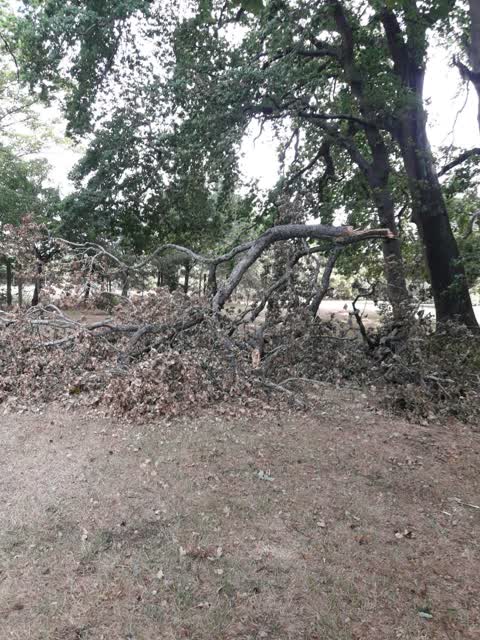 Parks, a report photo