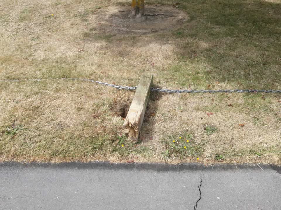 The photograph attached to this parks report