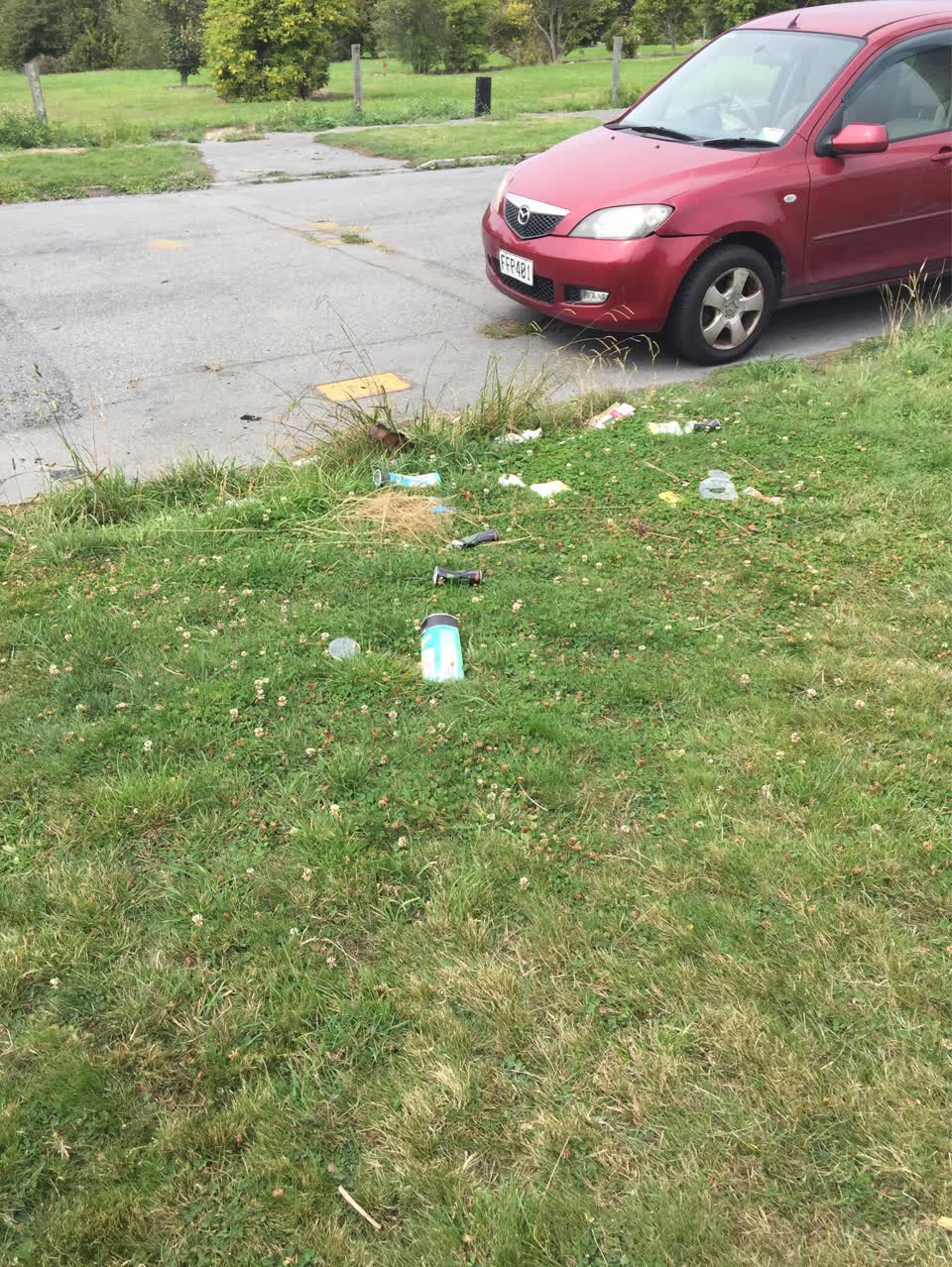 The photograph attached to this rubbish/recycling report