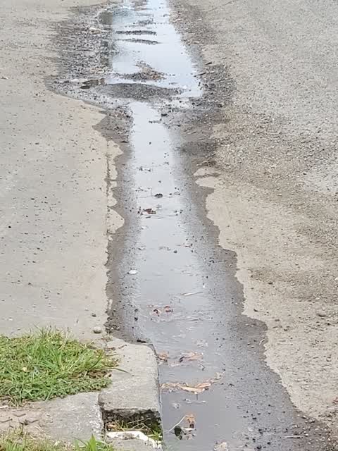 Flooding — a report photo