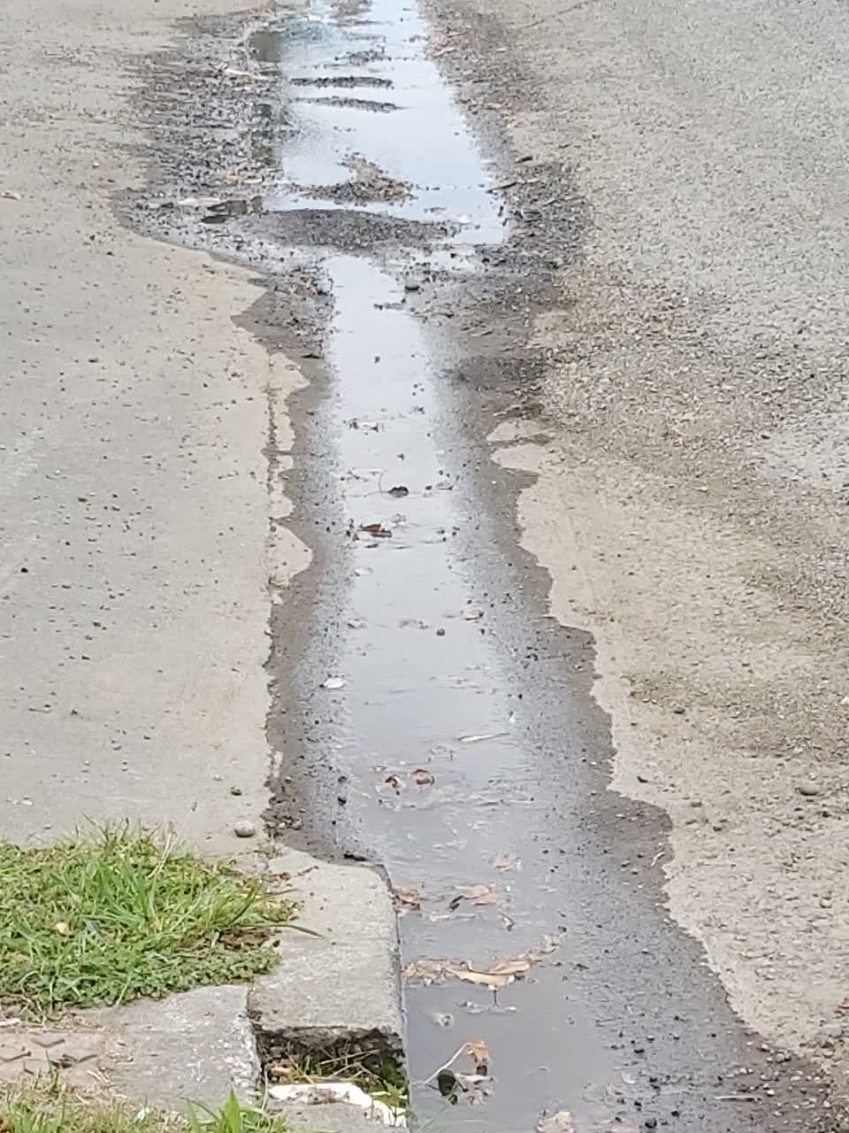 The photograph attached to this flooding report