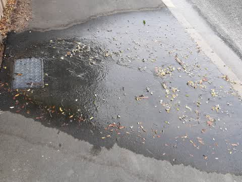 Water Supply — a report photo