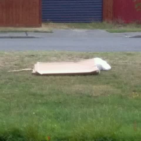 Rubbish/Recycling, a report photo