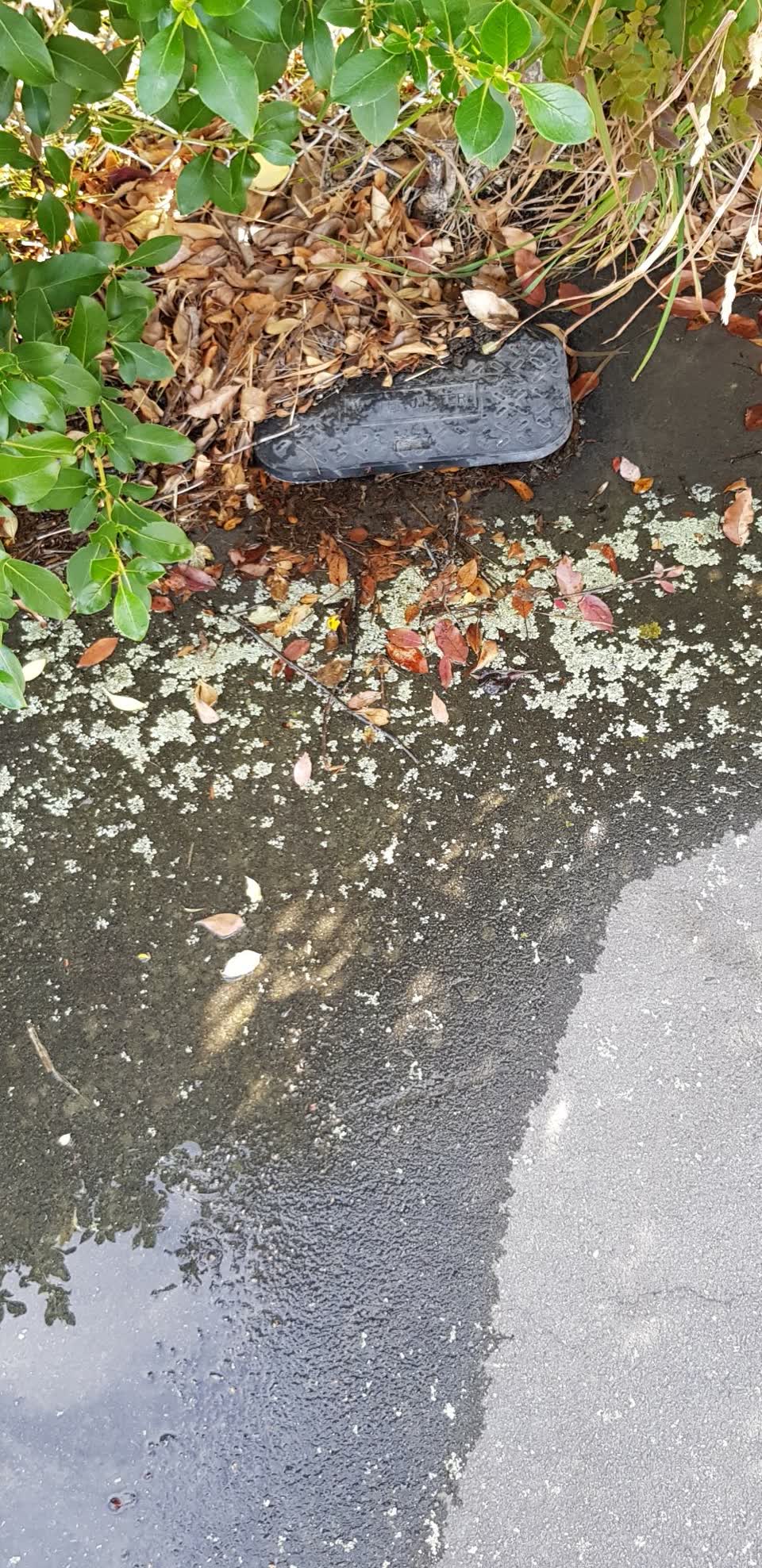 The photograph attached to this water supply report