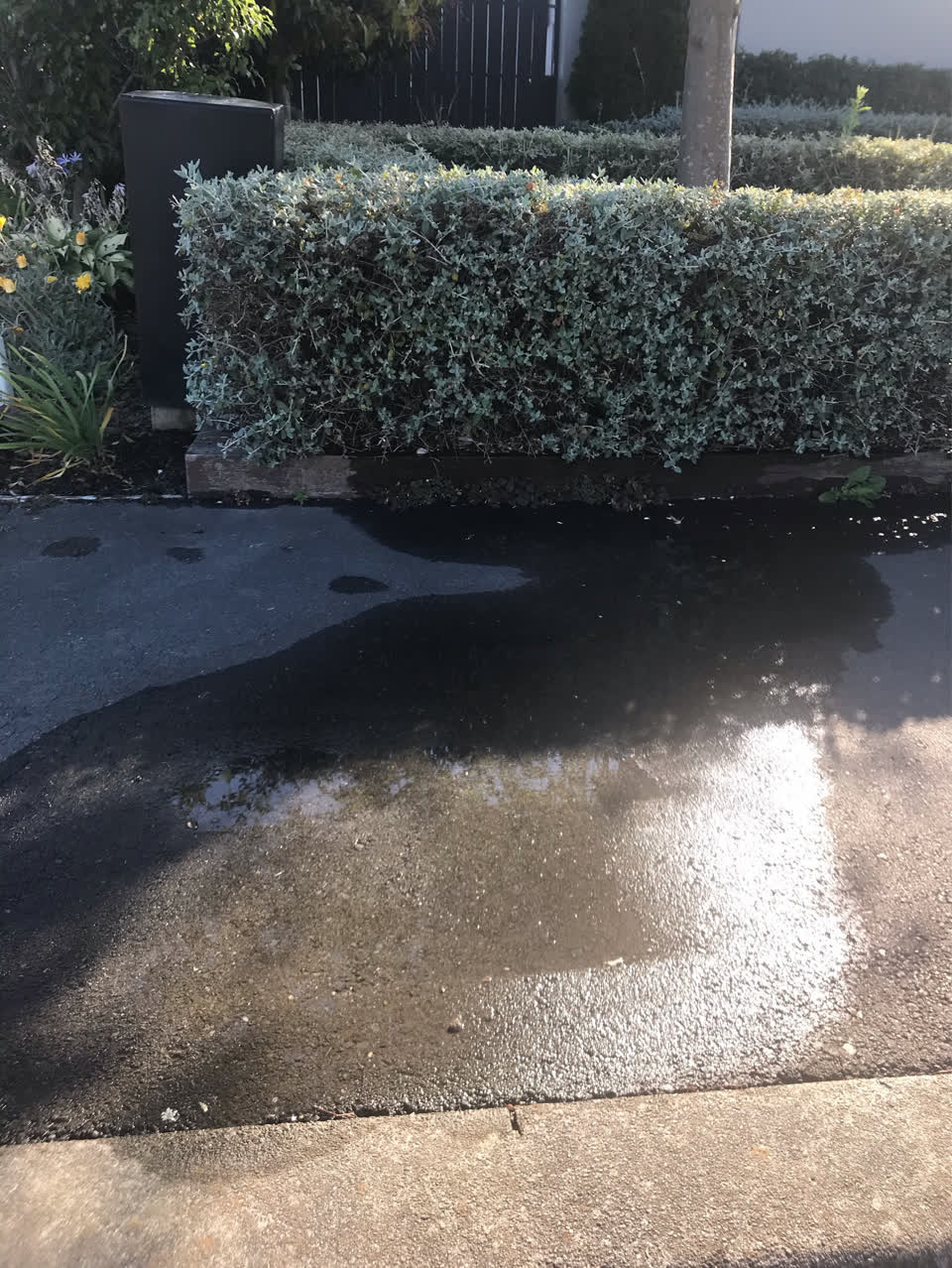 The photograph attached to this water supply report