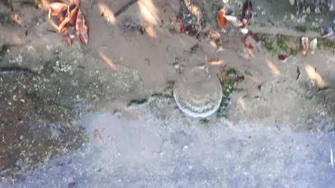 Water Supply, a report photo