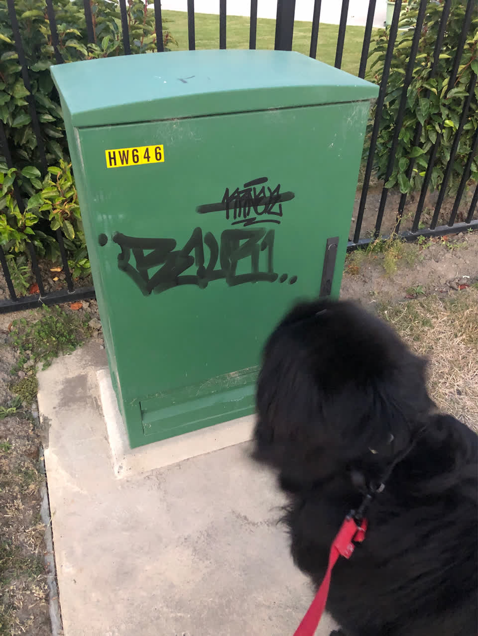 The photograph attached to this graffiti report