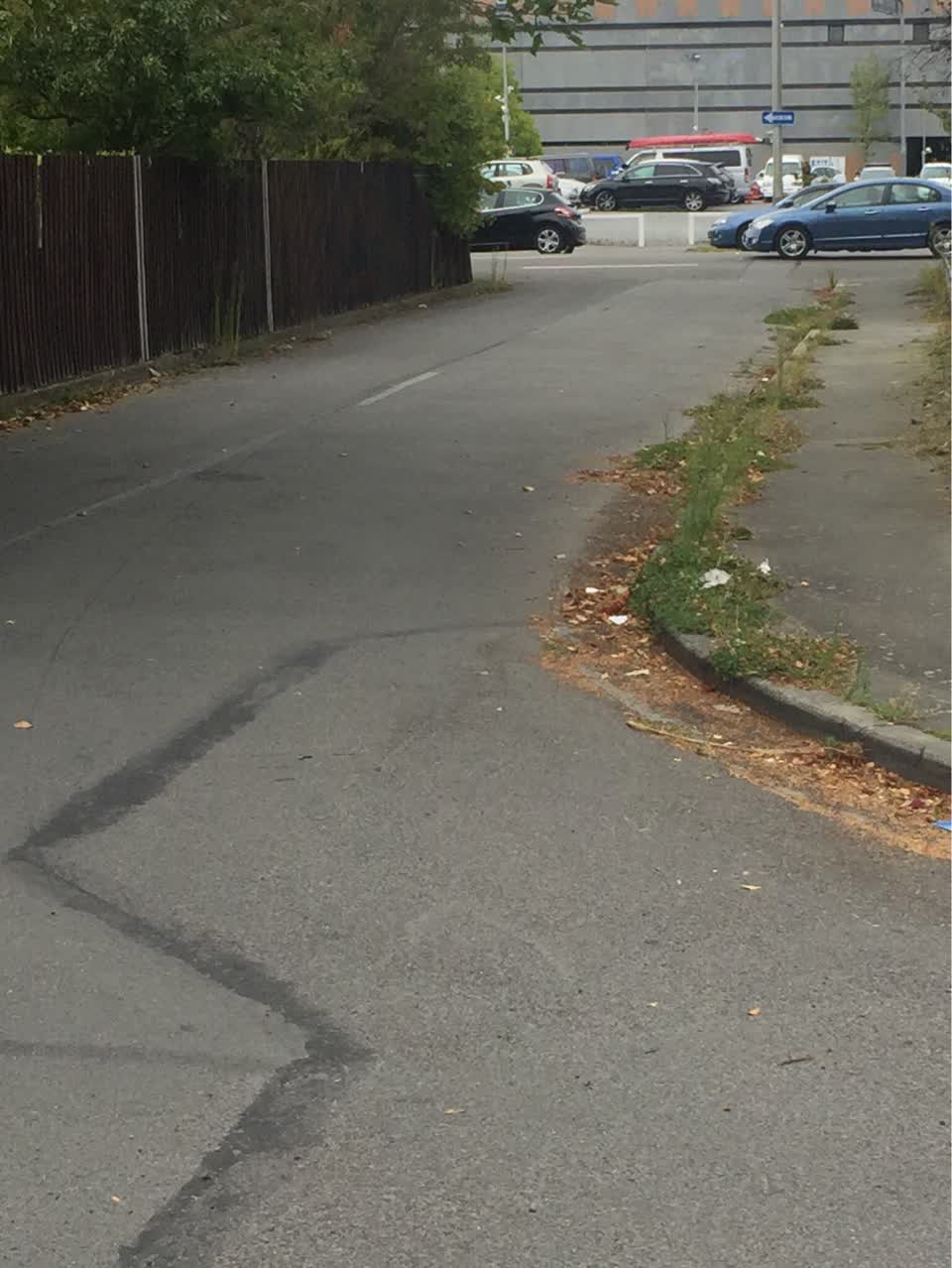 The photograph attached to this parks report