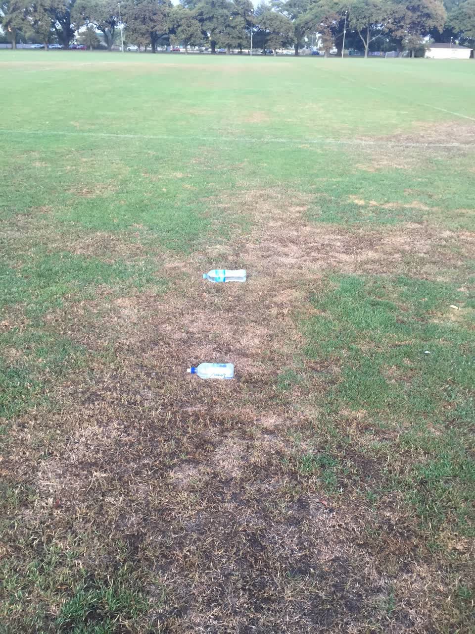 The photograph attached to this parks report