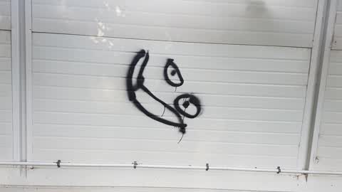 Graffiti, a report photo