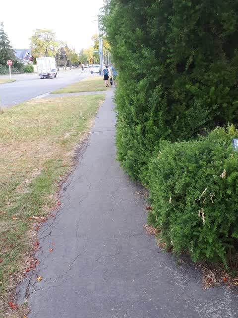 Roading/Streets, a report photo