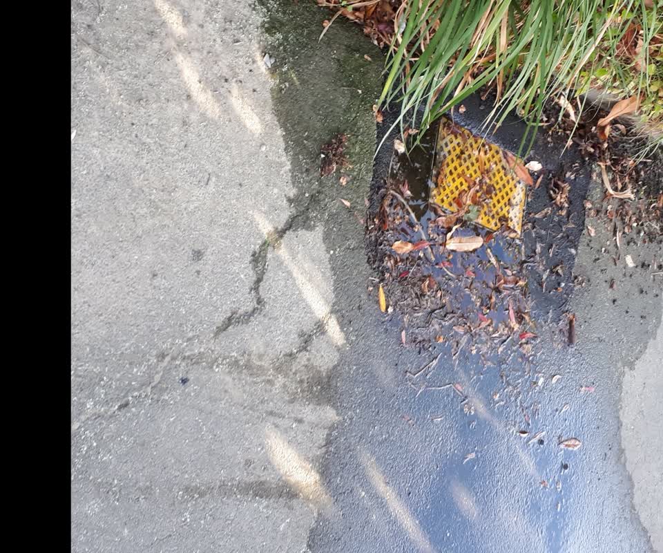 The photograph attached to this water supply report