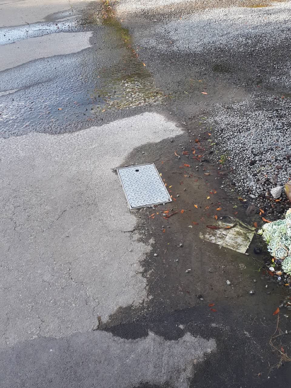 The photograph attached to this water supply report