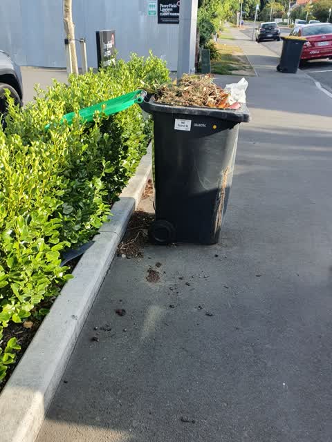 Rubbish/Recycling — a report photo
