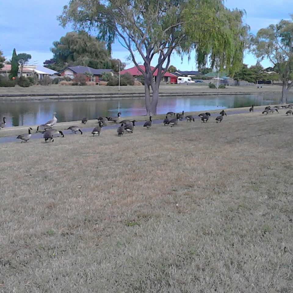 The photograph attached to this parks report