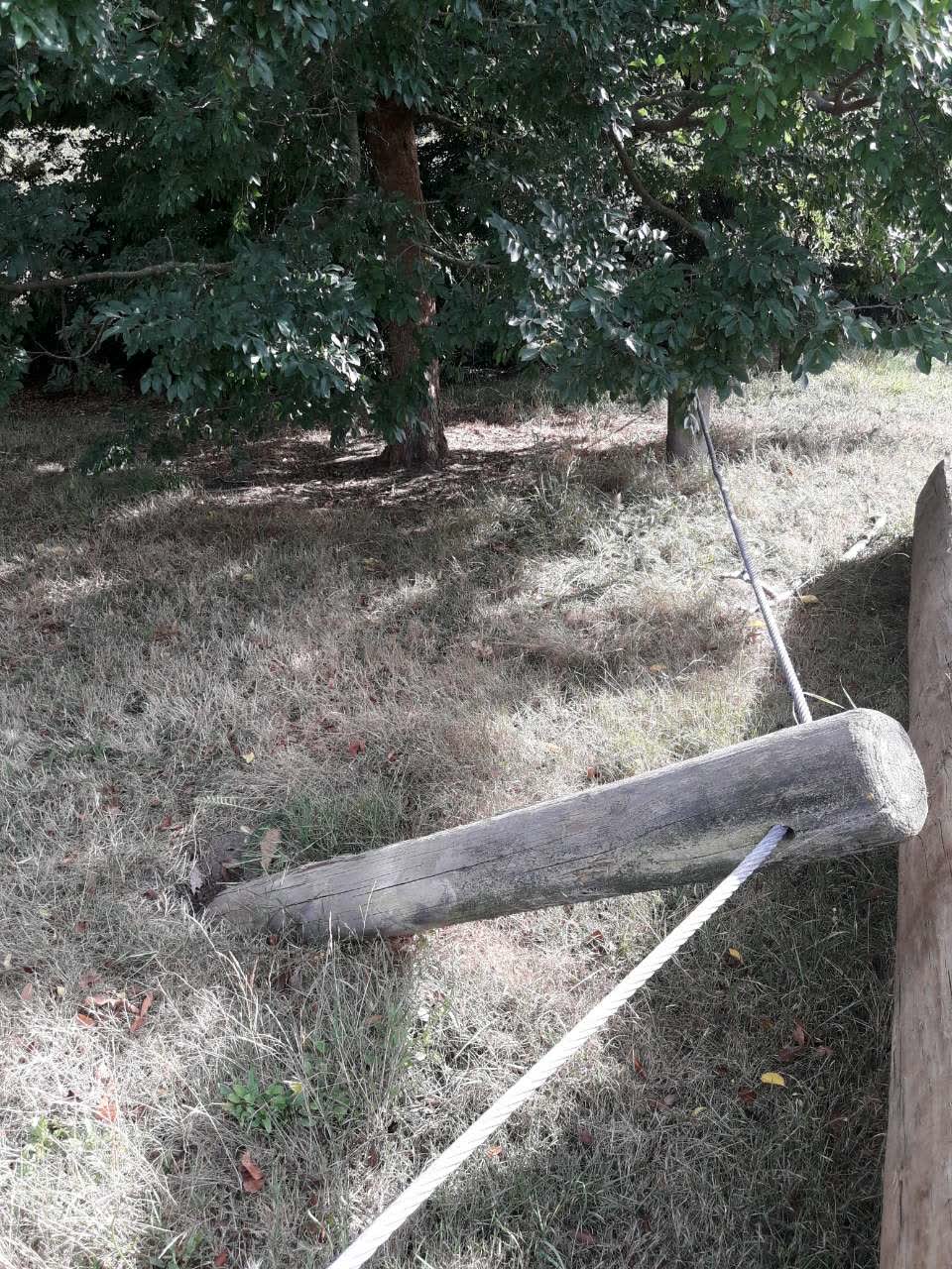 The photograph attached to this parks report