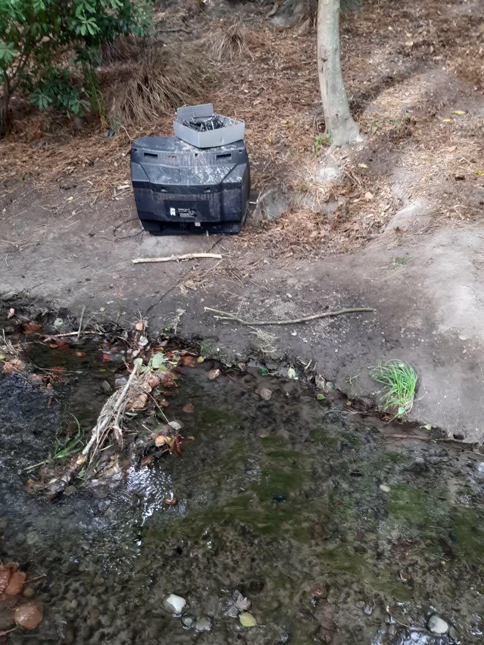 The photograph attached to this parks report