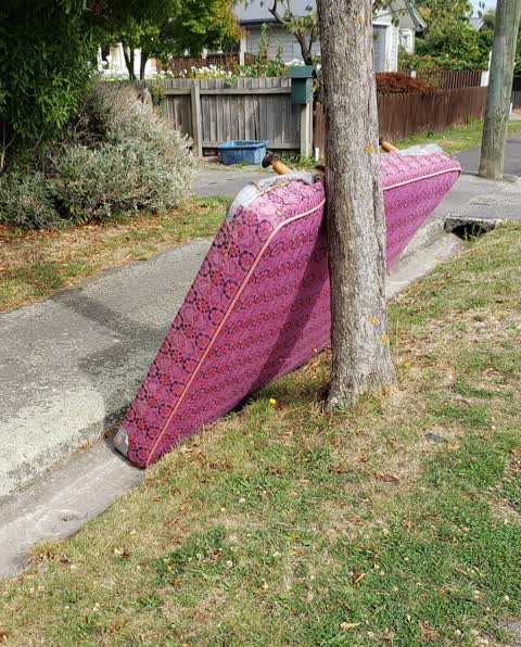 Rubbish/Recycling, a report photo
