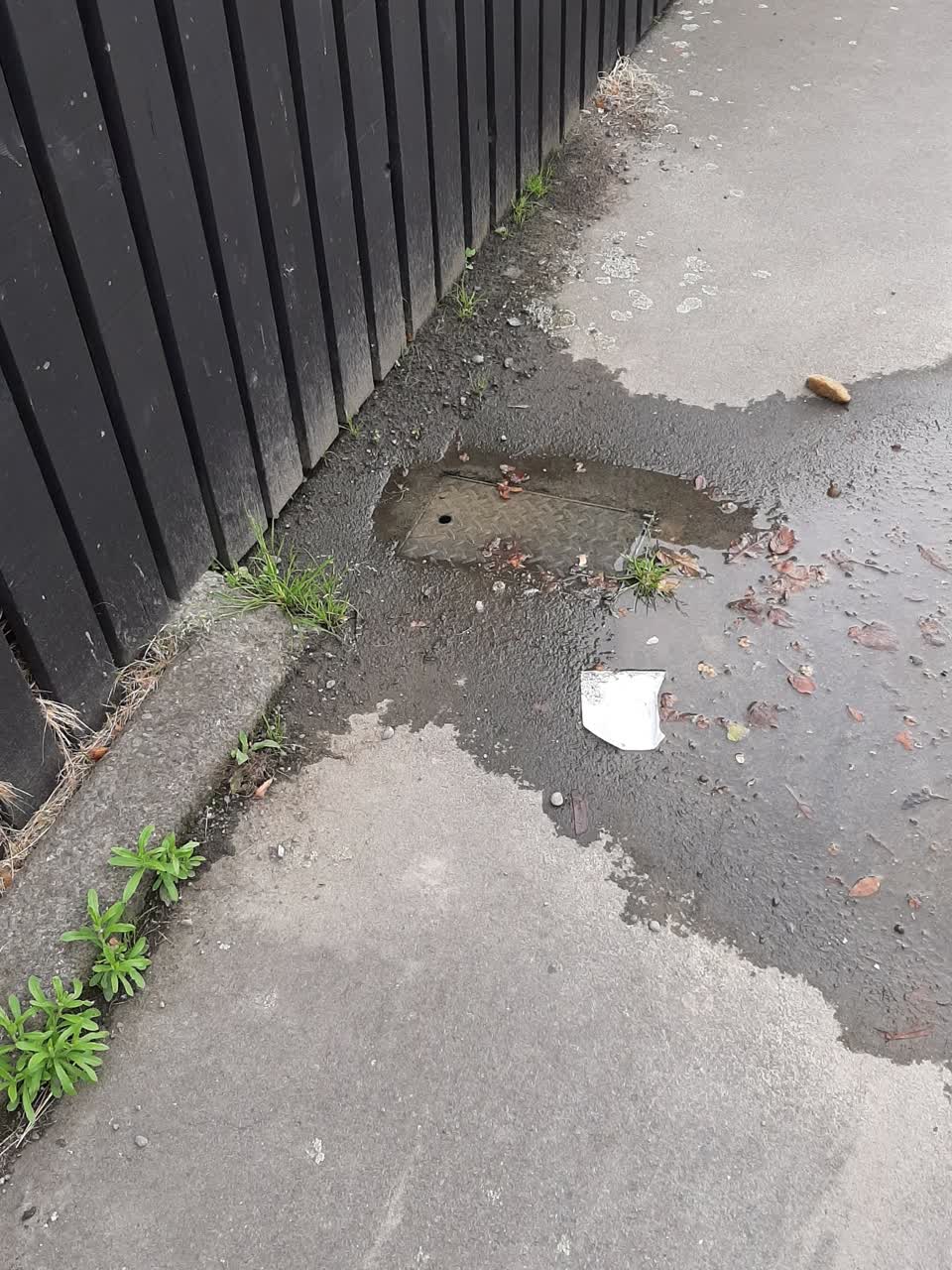 The photograph attached to this water supply report