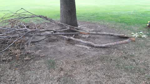 Parks, a report photo
