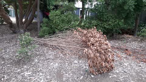Parks, a report photo