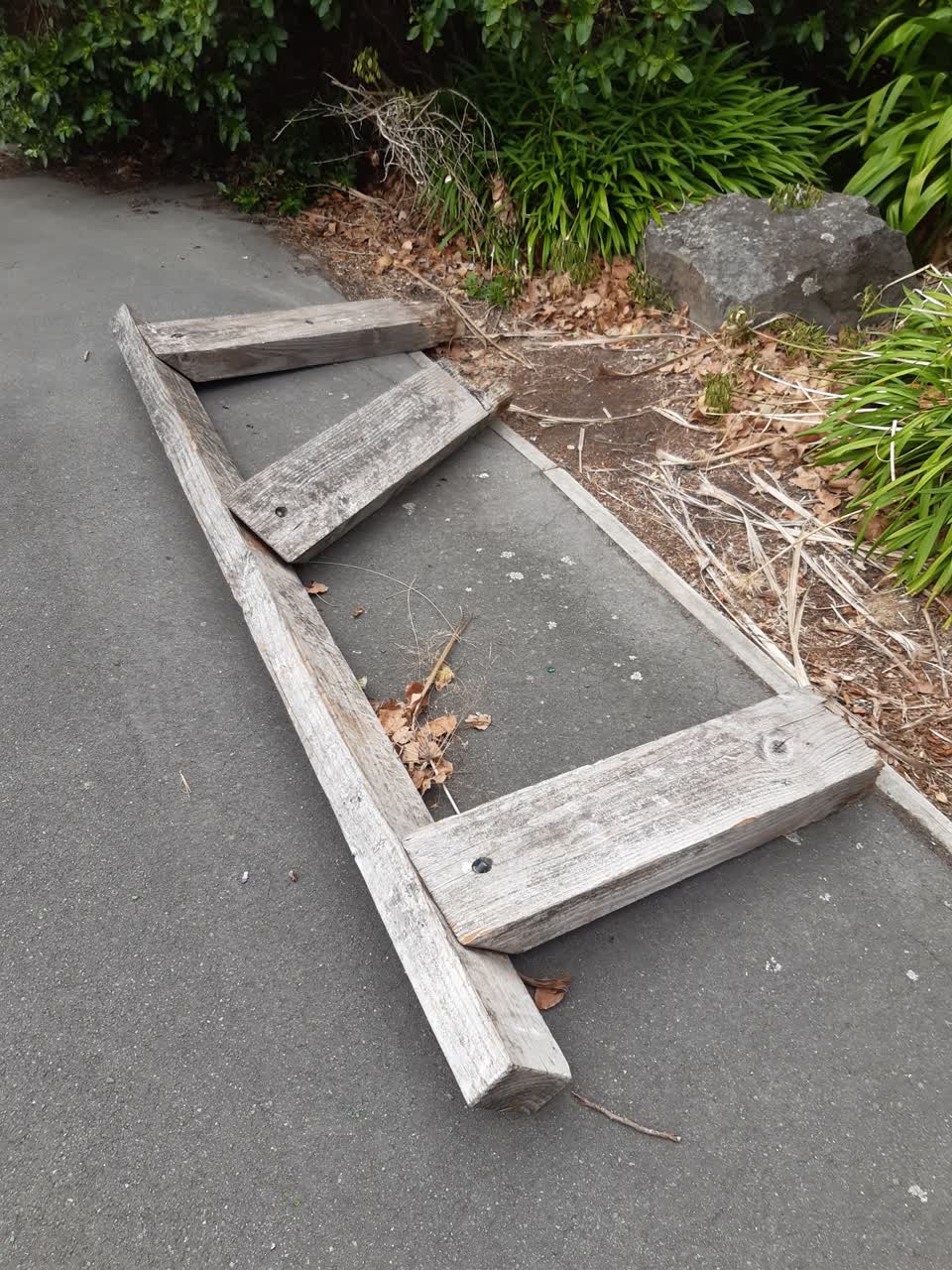 The photograph attached to this parks report