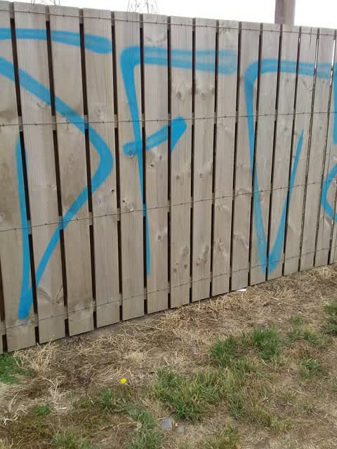 Graffiti — a report photo