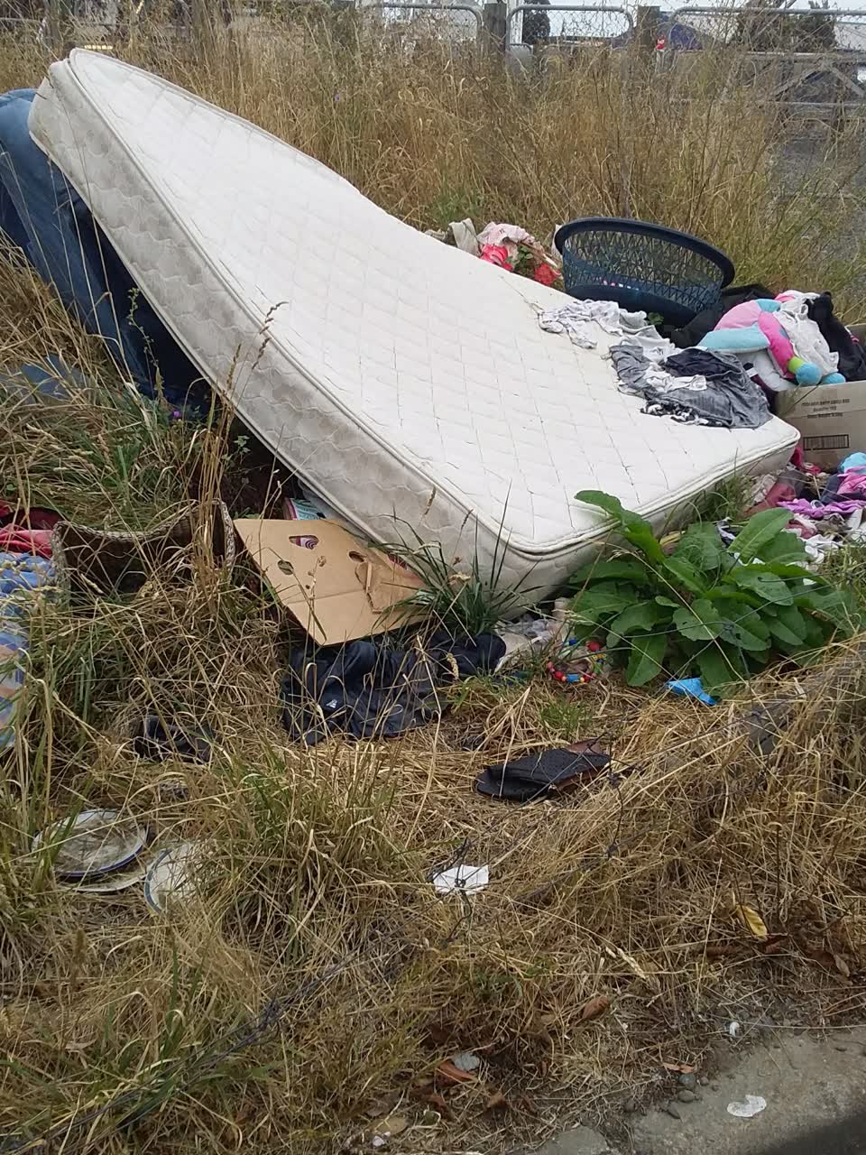 The photograph attached to this rubbish/recycling report