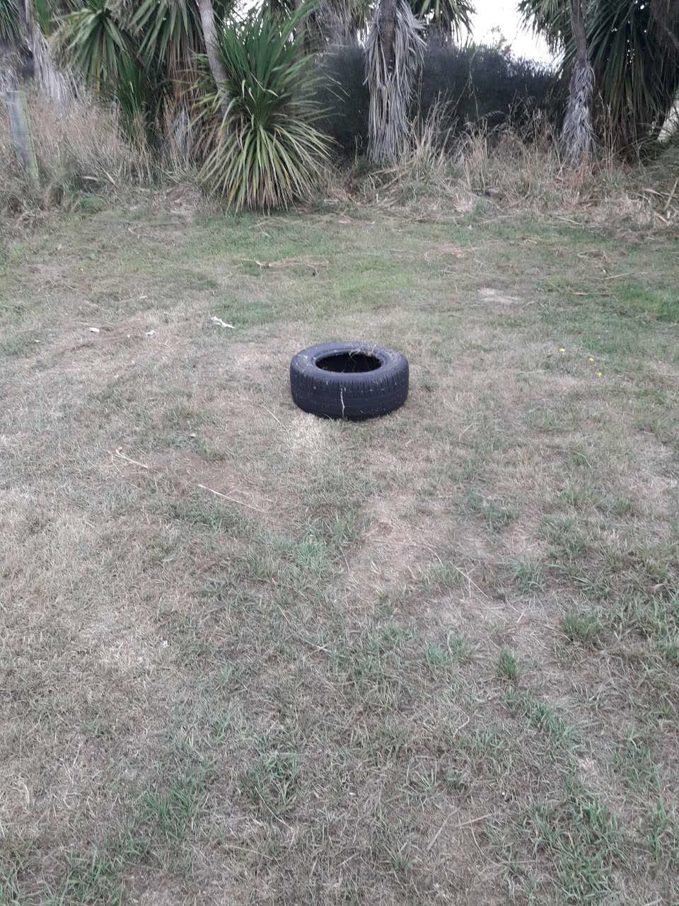 The photograph attached to this parks report