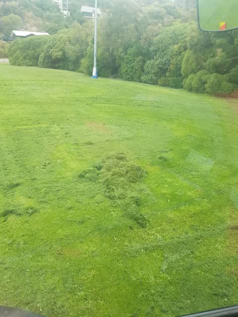 Parks, a report photo