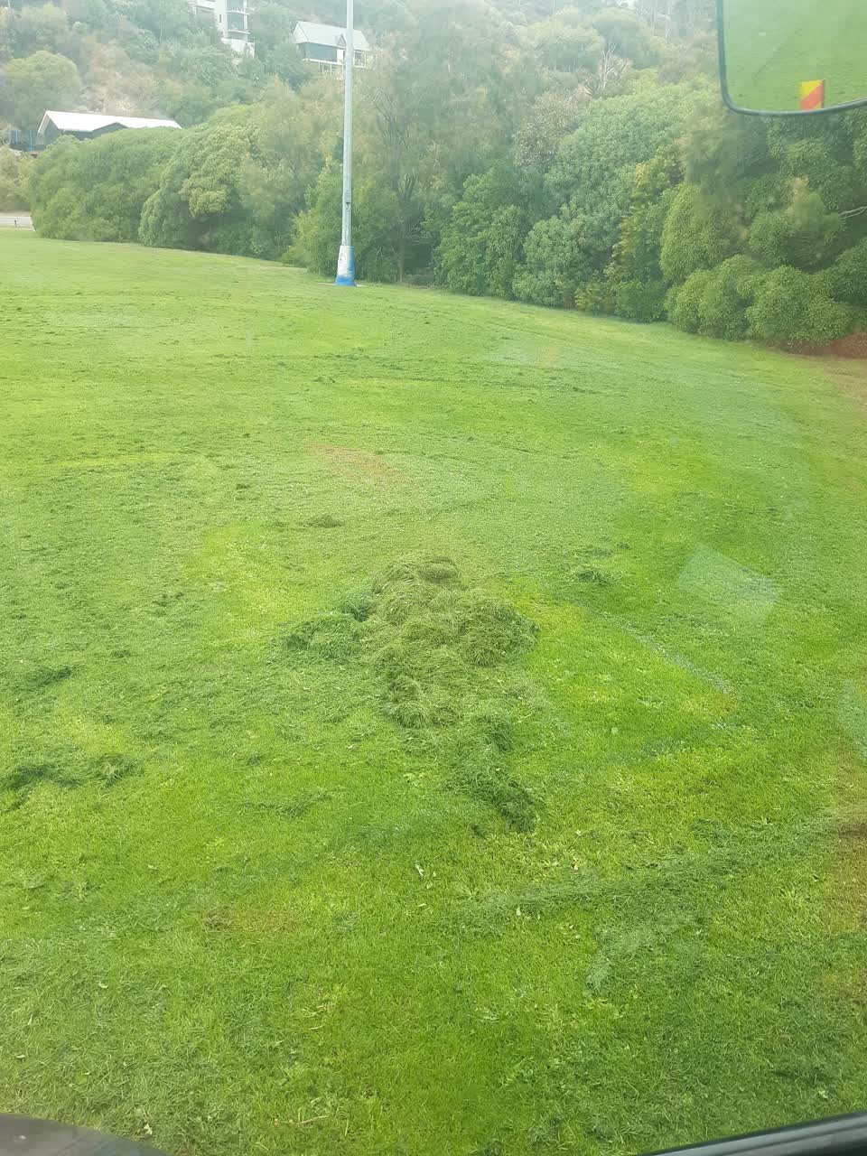 The photograph attached to this parks report