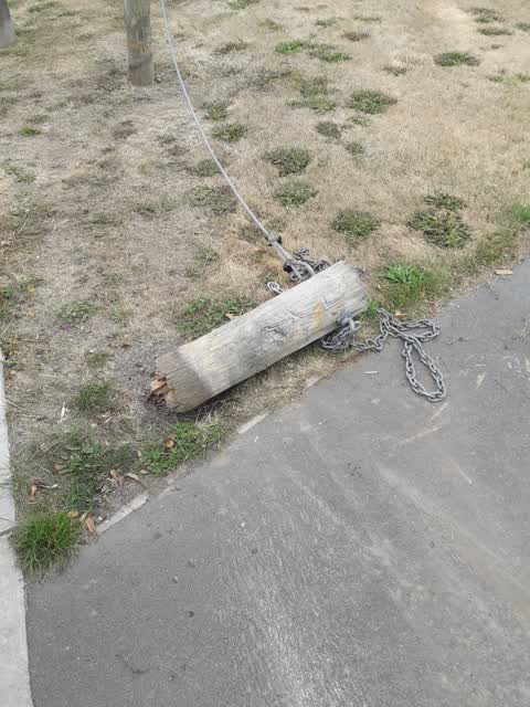 Parks, a report photo