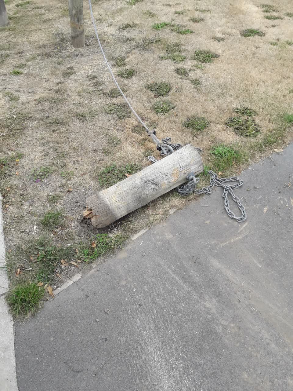 The photograph attached to this parks report