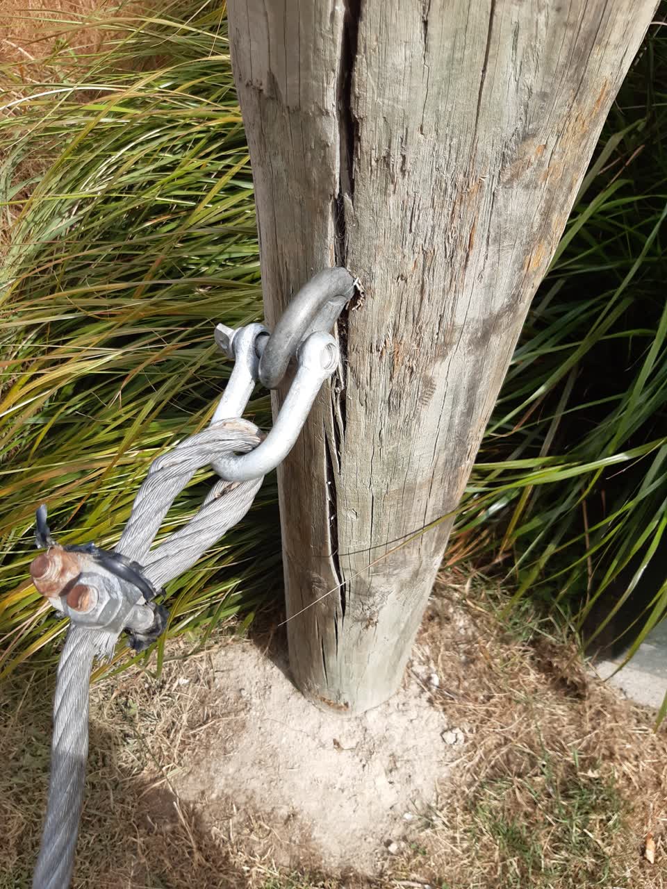 The photograph attached to this parks report